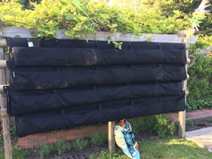 Allotment/Veg Patch Thread 9 - Spring is sprung, its getting really busy!