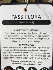 How can I save a passiflora?