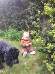 DH wants to get rid of our puppy!!