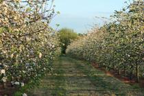 Photos taken on your cycle.