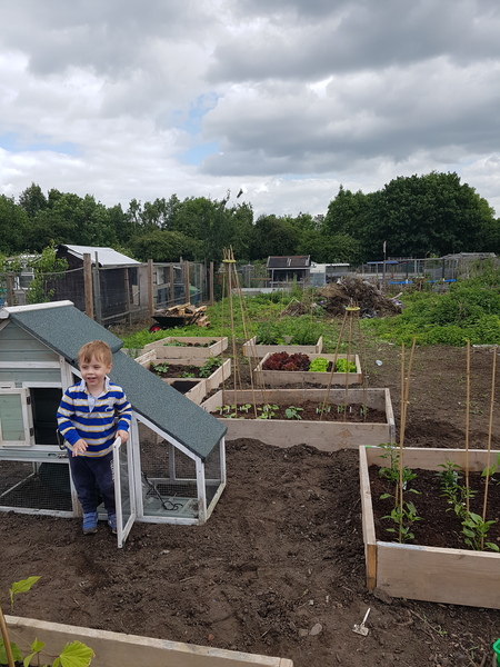 Allotment?Veg Patch Thread 10 - Plotmenters  busy into summer ! and loving James Wong