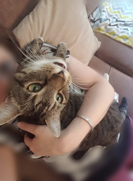 Cats still catting. What's your DCat up to today? Pt 3