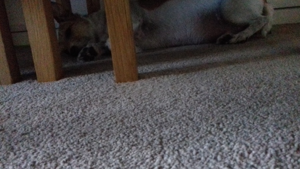 Week 5 - Low Carb Bootcamp chat - and we reach the half way point!