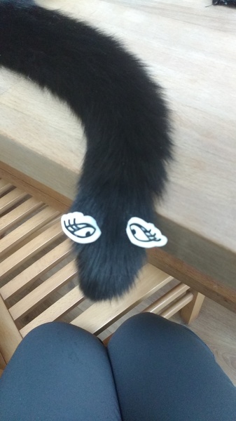 Cats still catting. What's your DCat up to today? Pt 3