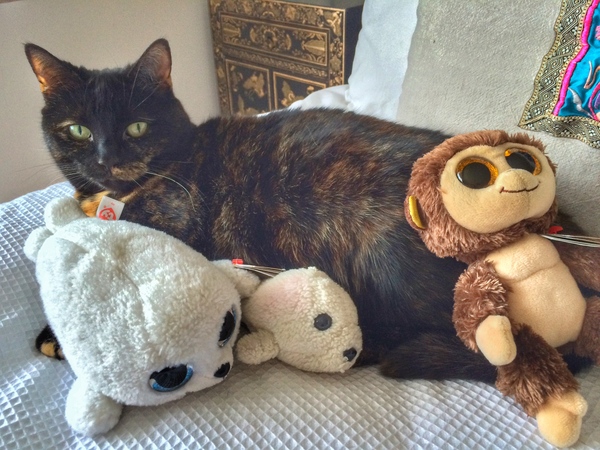 Westministenders: The Election Car Crash