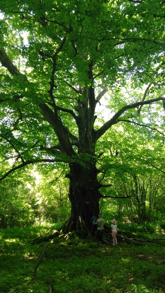 Week 4 - Low Carb Bootcamp - Coming to the end of our first month