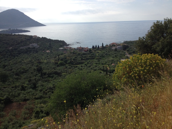 Photos taken on your cycle.