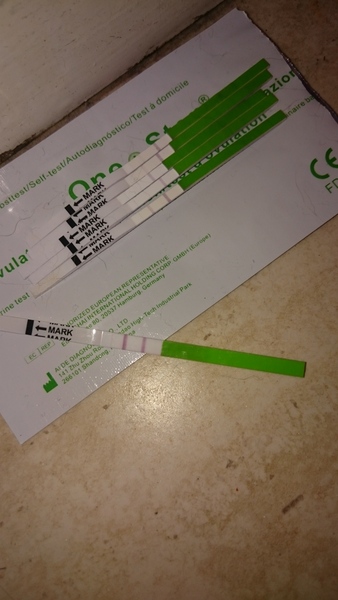 No period or pregnancy symptoms :/??