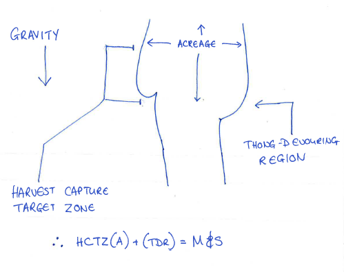 I bought new knickers yesterday...