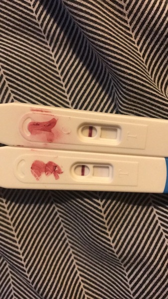 Conception date confusion