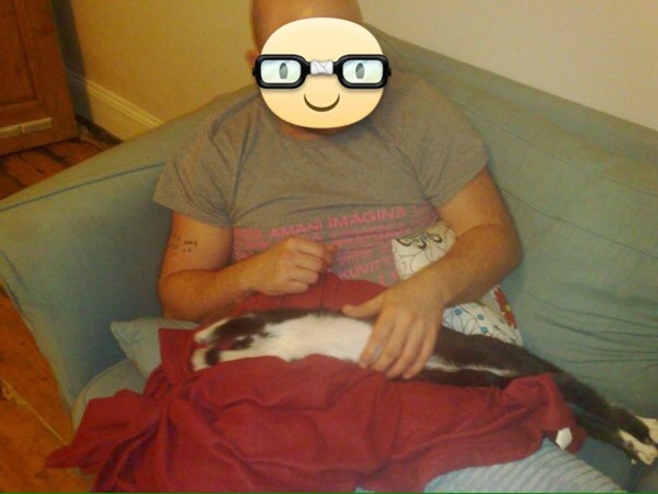 To ask to see a picture of your pet when it was a baby and now?