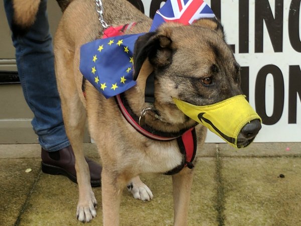 Westministenders: The Election Car Crash