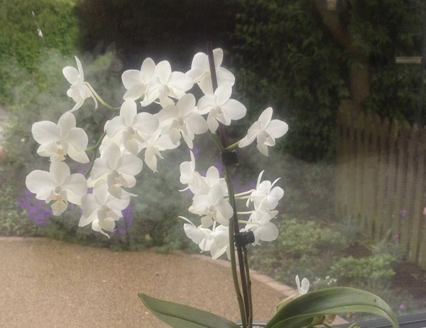 Dh has died and the MN lifesavers are helping us to keep our heads above water