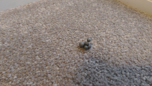 To ask you wtf is this?! (Photo)