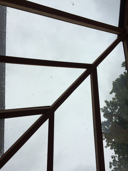 If you have a glass conservatory roof what does it look like now?