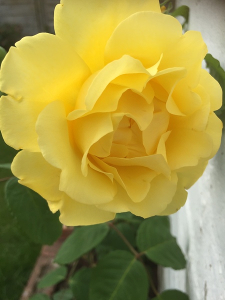 Dh has died and the MN lifesavers are helping us to keep our heads above water