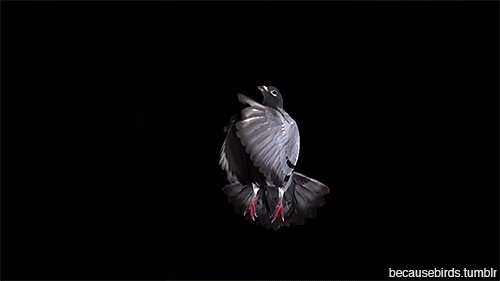 Anyone lost this? On my backstep if it's yours!