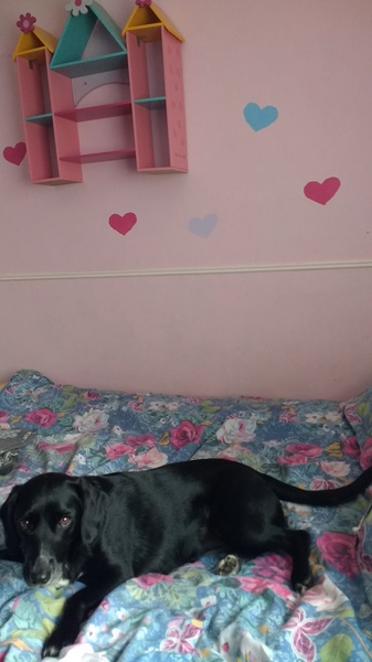 Can I show you my dds'bedroom?