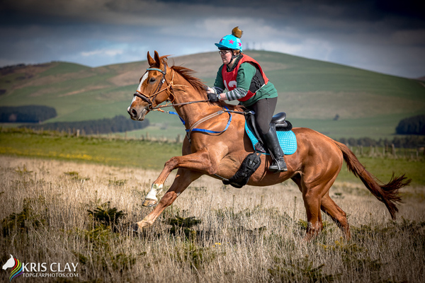 Week 2 Summer Low Carb Bootcamp - continued thread!