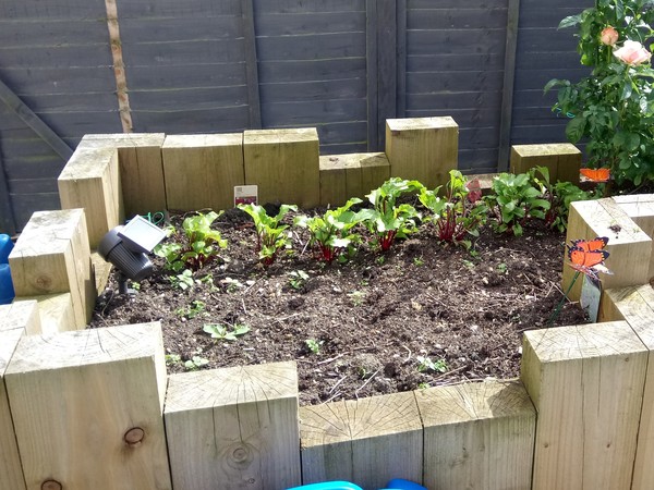 Find out how MNers are getting on with their Homebase Garden Goals challenge NOW CLOSED