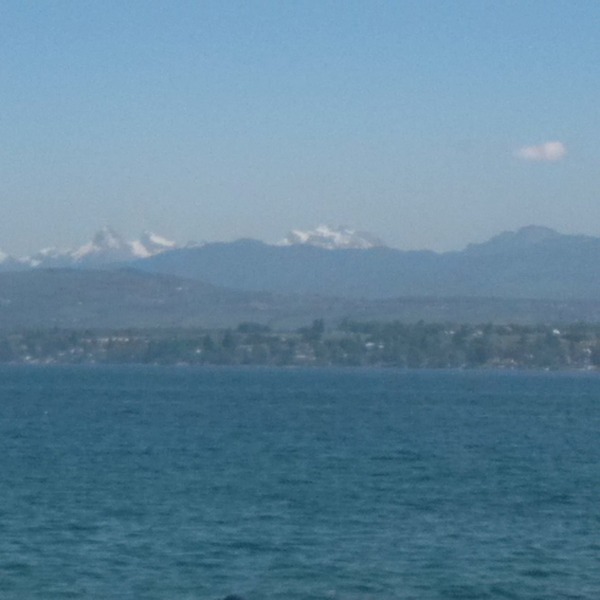 Photos taken on your cycle.