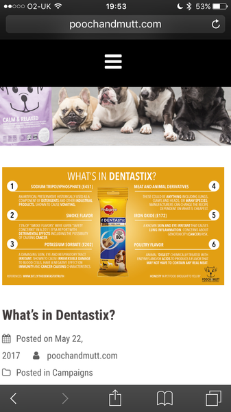 Help me prevent my dogs teeth getting crapped up please..