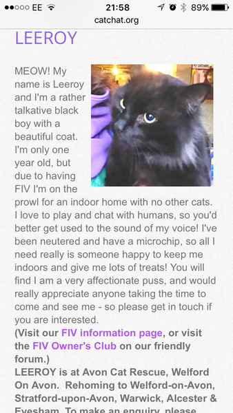 When did you first realise you loved your cat (i.e they had 'won' !)