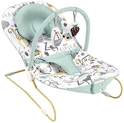 What container do you put your baby in?