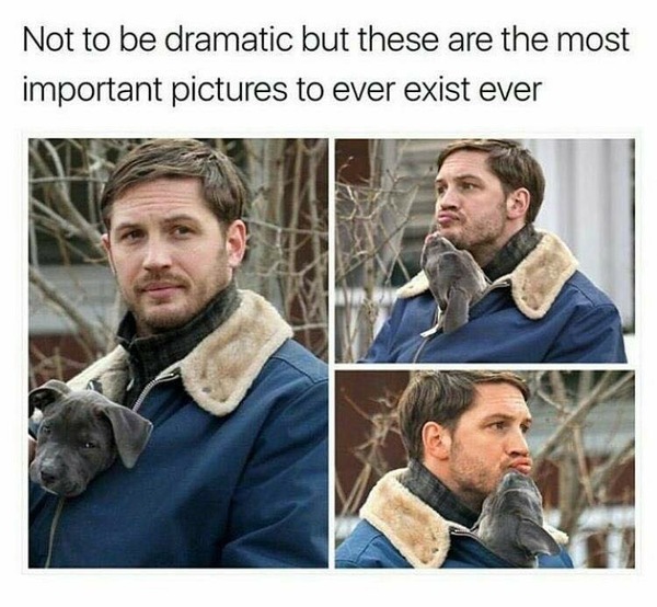 I need a Tom Hardy thread. Who's with me?