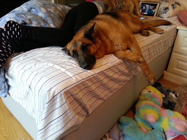 May we continue our furious frugaleering into June : )