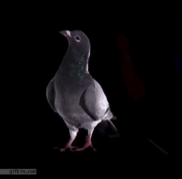 Anyone lost this? On my backstep if it's yours!