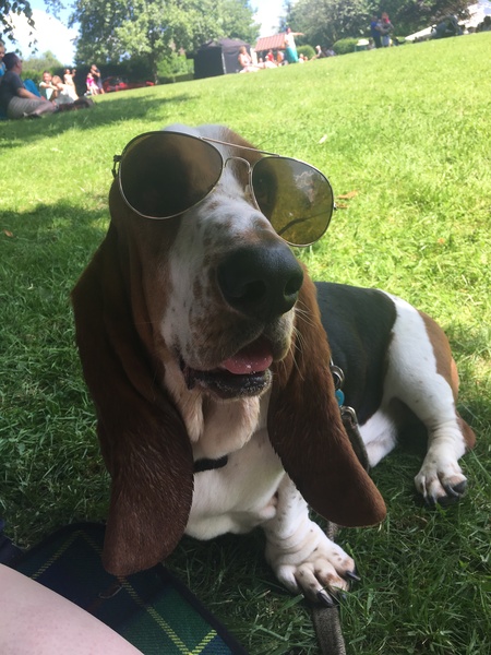 Week 5 - Low Carb Bootcamp chat - and we reach the half way point!