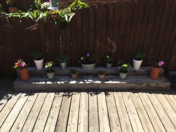 Find out how MNers are getting on with their Homebase Garden Goals challenge NOW CLOSED