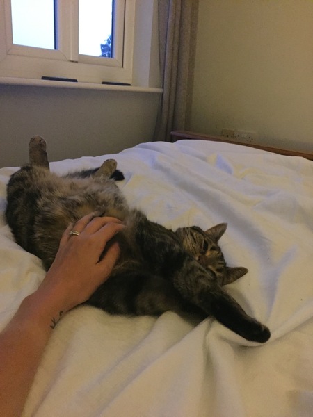 Frugaleers - joyfully jumping into June