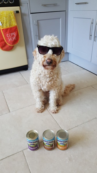 Tell us what your pets mean to you - for a chance to win a Fitbit Alta plus a copy of Finding Gobi. Now closed.