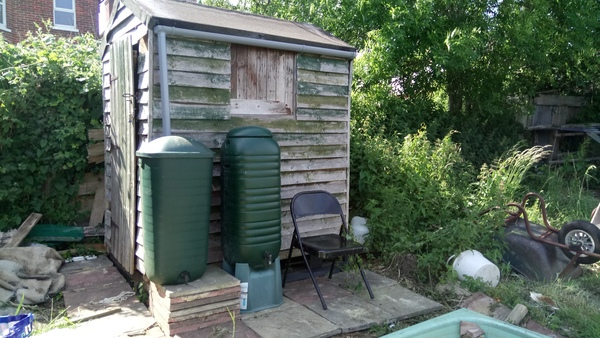 Allotment/Veg Patch Thread 9 - Spring is sprung, its getting really busy!