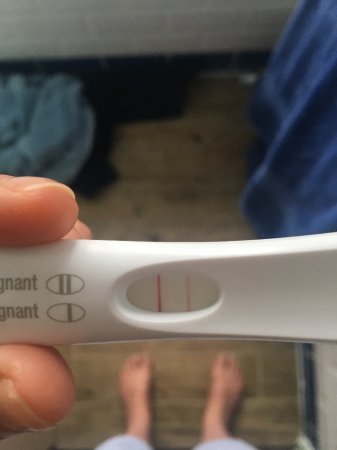 Anyone just found out they're preggers and want some buddies?