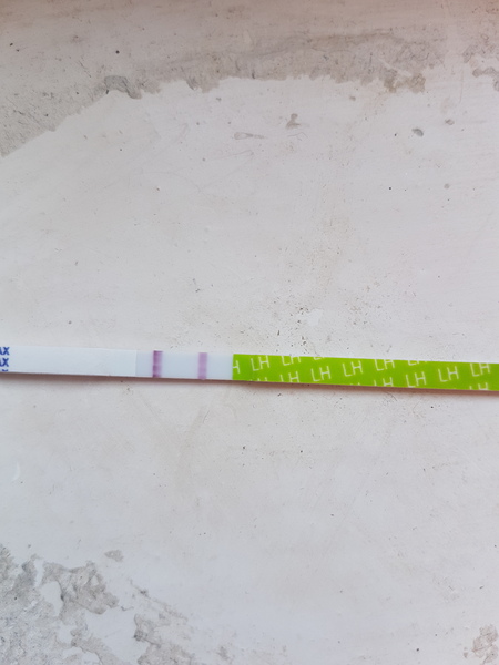 Pregnacy line or evap line
