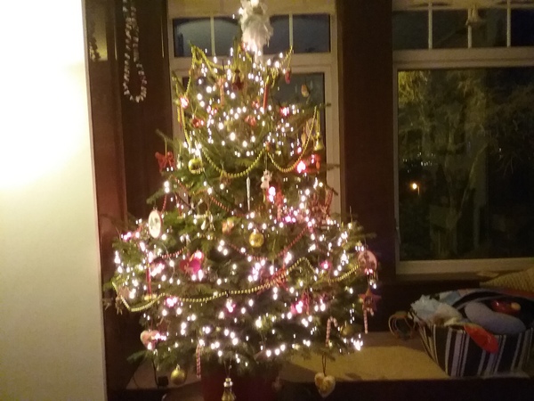 Does any want to look at xmas trees? I feel down in dumps