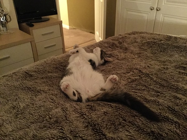 To think this is the worst case of manspreading ever seen? (Lighthearted)