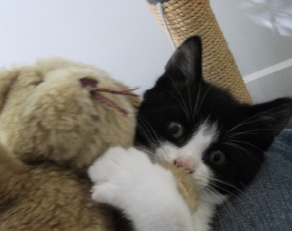Colin's getting a new playmate!