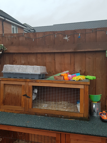 Anyone lost this? On my backstep if it's yours!