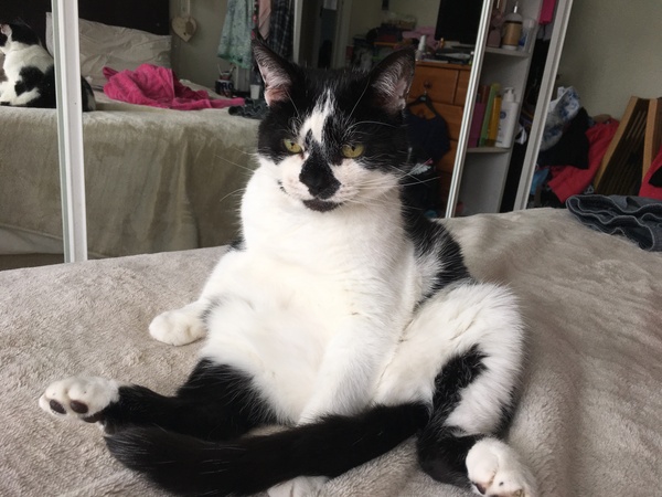 Harry, just chilling...