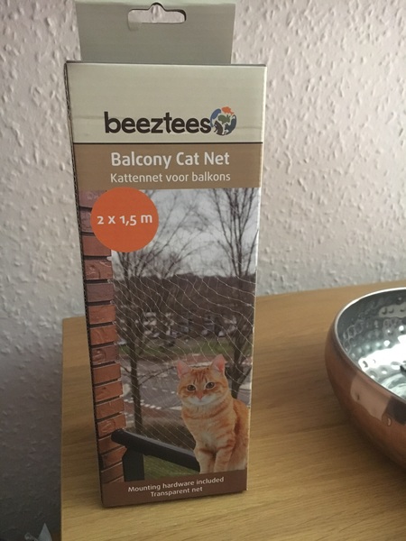 What do you wish you knew before bringing home your first cat?