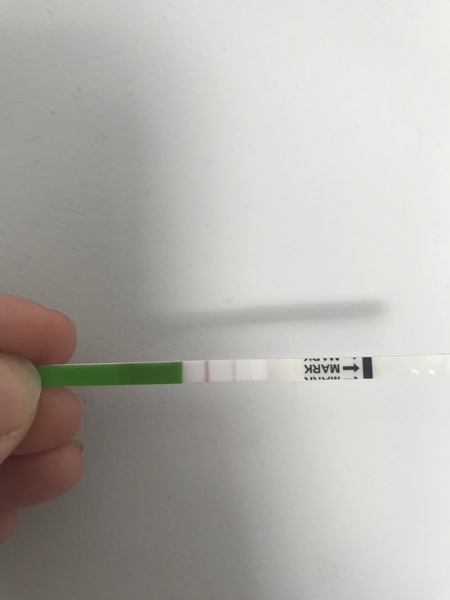 We're ovulating again, so let's jump our men. It's TTC after miscarriage thread 11