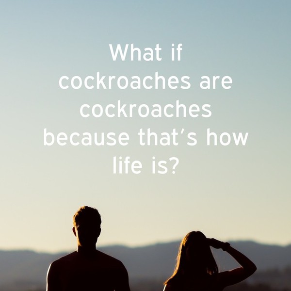 To introduce you to InspiroBot?