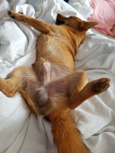 To think this is the worst case of manspreading ever seen? (Lighthearted)