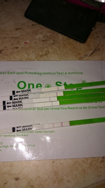 No period or pregnancy symptoms :/??
