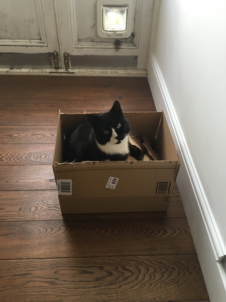 Week 2 Summer Low Carb Bootcamp - continued thread!