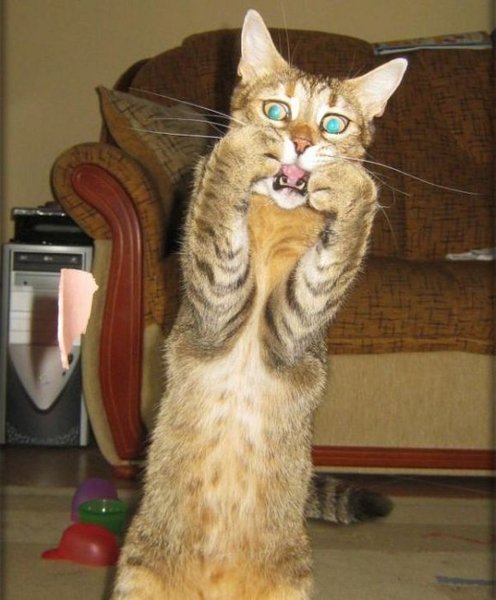 WORST sex dream EVER! I will NEVER sleep again!